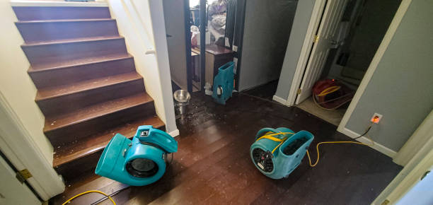 Best Commercial water damage restoration  in Waveland, MS
