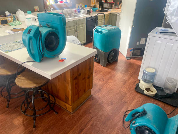 Best Mold removal after water damage  in Waveland, MS