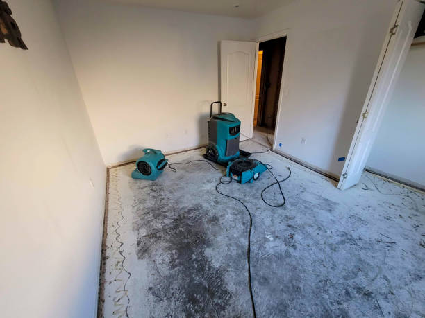 Local water damage restoration in Waveland, MS