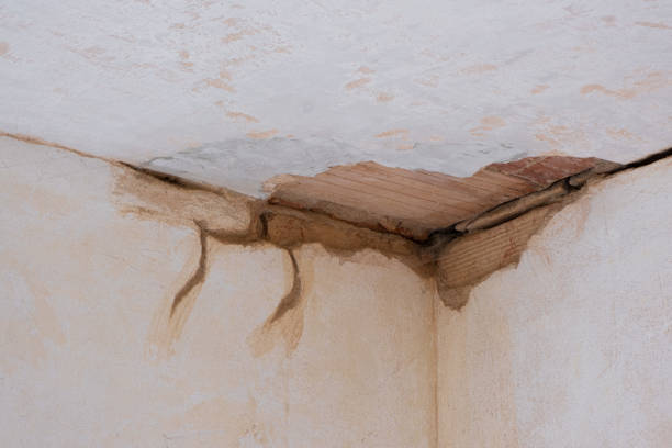 Best Water damage restoration near me  in Waveland, MS