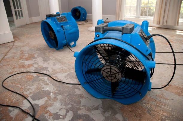 Waveland, MS Water damage restoration Pros