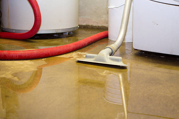 Best Flood damage cleanup  in Waveland, MS