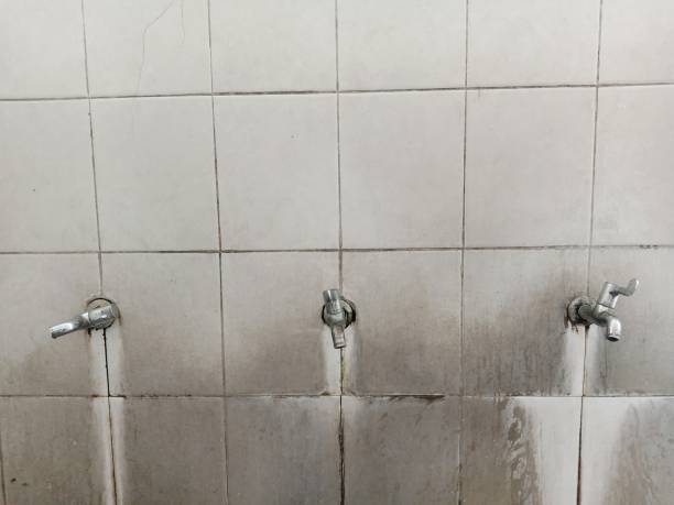 Best Water damage restoration cost  in Waveland, MS
