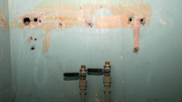 Best Carpet water damage restoration  in Waveland, MS