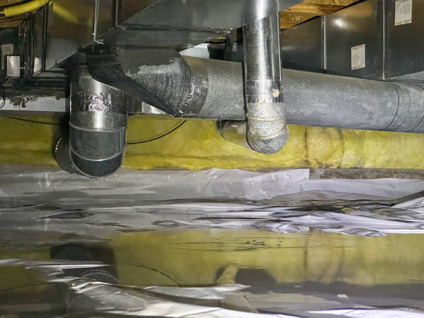 Best Ceiling water damage repair  in Waveland, MS