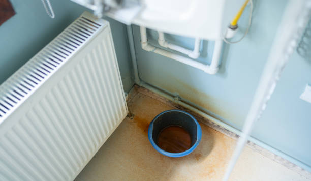 Best Flood restoration services  in Waveland, MS