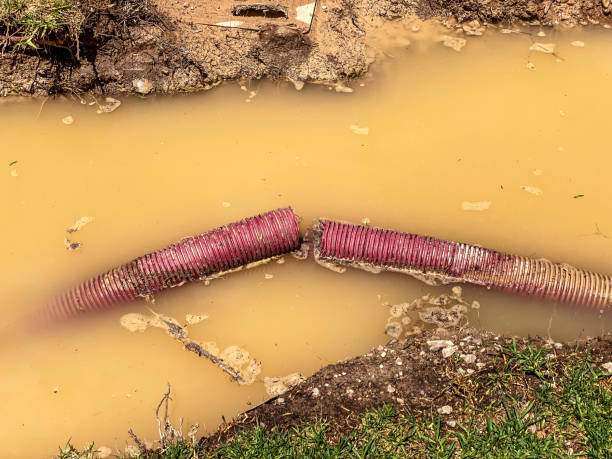 Best Water damage contractors near me  in Waveland, MS
